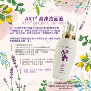 ART Gentle Cleanser 泡沫潔面液